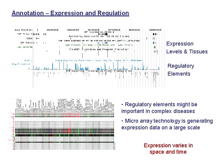 Annotation – Expression and Regulation Expression Levels & Tissues Regulatory Elements • Regulatory elements
