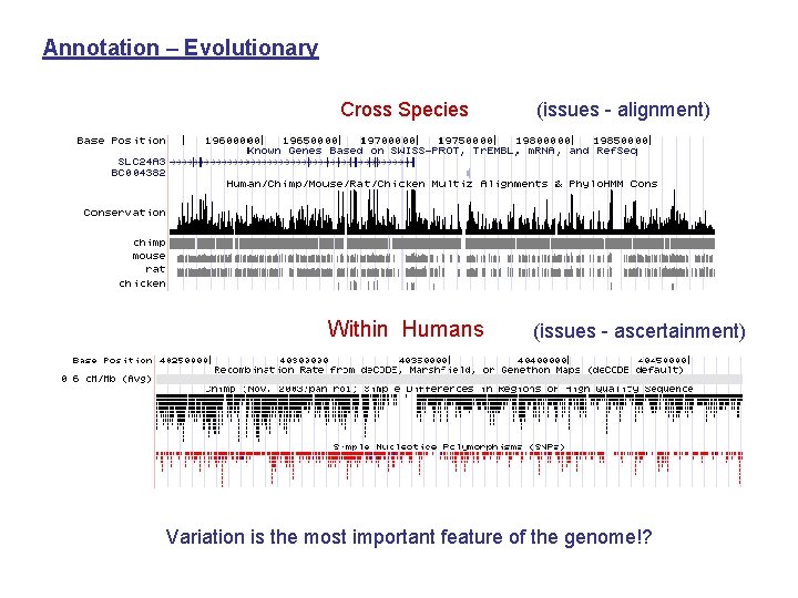 Annotation – Evolutionary Cross Species Within Humans (issues - alignment) (issues - ascertainment) Variation