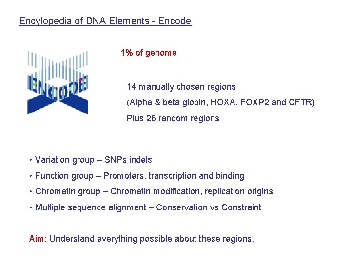 Encylopedia of DNA Elements - Encode 1% of genome 14 manually chosen regions (Alpha