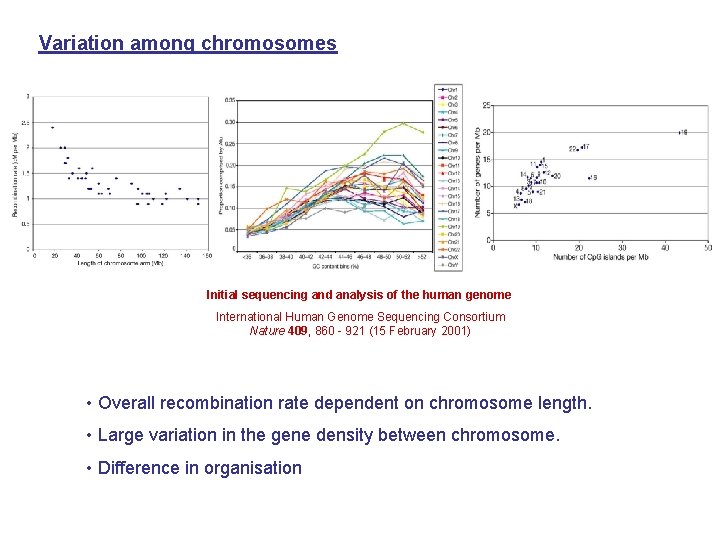 Variation among chromosomes Initial sequencing and analysis of the human genome International Human Genome