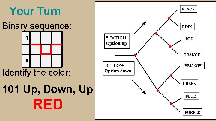 Your Turn Binary sequence: 1 0 Identify the color: 101 Up, Down, Up RED