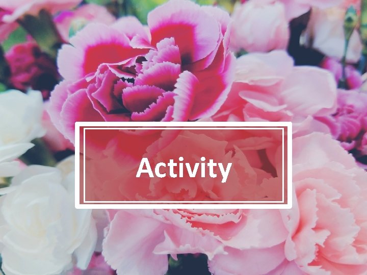 Activity 