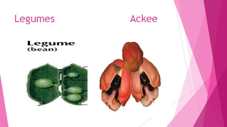 Legumes Ackee 