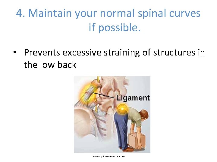 4. Maintain your normal spinal curves if possible. • Prevents excessive straining of structures