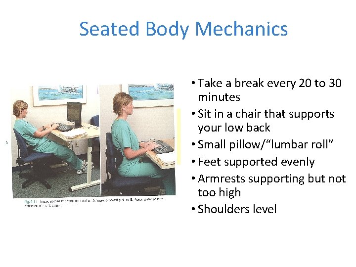 Seated Body Mechanics • Take a break every 20 to 30 minutes • Sit