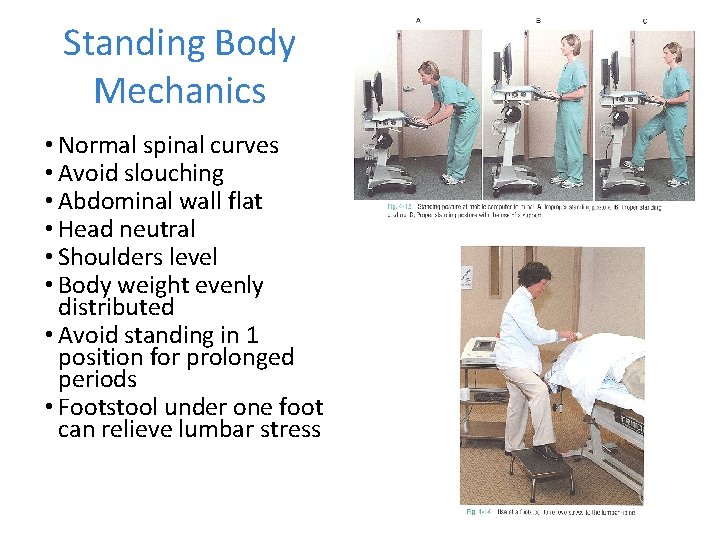 Standing Body Mechanics • Normal spinal curves • Avoid slouching • Abdominal wall flat