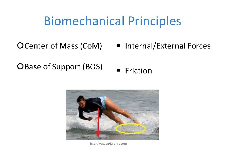 Biomechanical Principles Center of Mass (Co. M) § Internal/External Forces Base of Support (BOS)