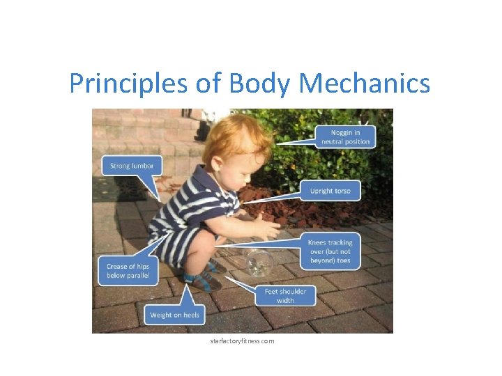 Principles of Body Mechanics starfactoryfitness. com 