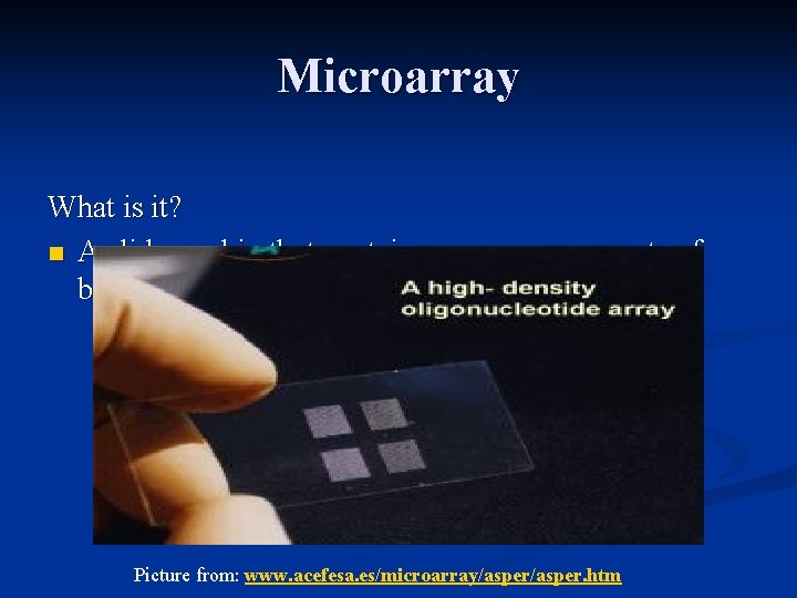 Microarray What is it? n A slide or chip that contains numerous amounts of