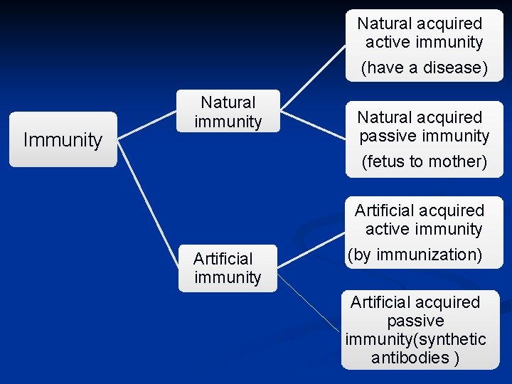 Natural acquired active immunity (have a disease) Immunity Natural immunity Natural acquired passive immunity