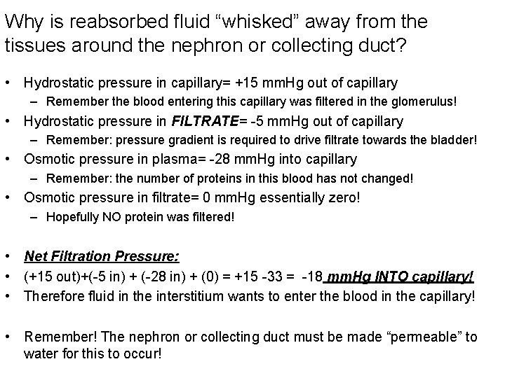 Why is reabsorbed fluid “whisked” away from the tissues around the nephron or collecting