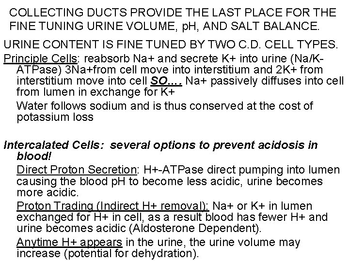 COLLECTING DUCTS PROVIDE THE LAST PLACE FOR THE FINE TUNING URINE VOLUME, p. H,