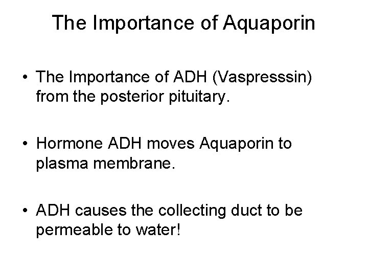 The Importance of Aquaporin • The Importance of ADH (Vaspresssin) from the posterior pituitary.