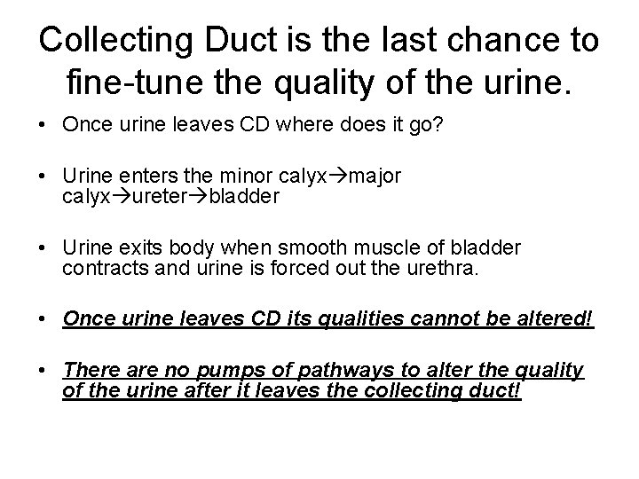 Collecting Duct is the last chance to fine-tune the quality of the urine. •