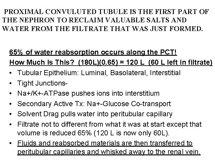 PROXIMAL CONVULUTED TUBULE IS THE FIRST PART OF THE NEPHRON TO RECLAIM VALUABLE SALTS
