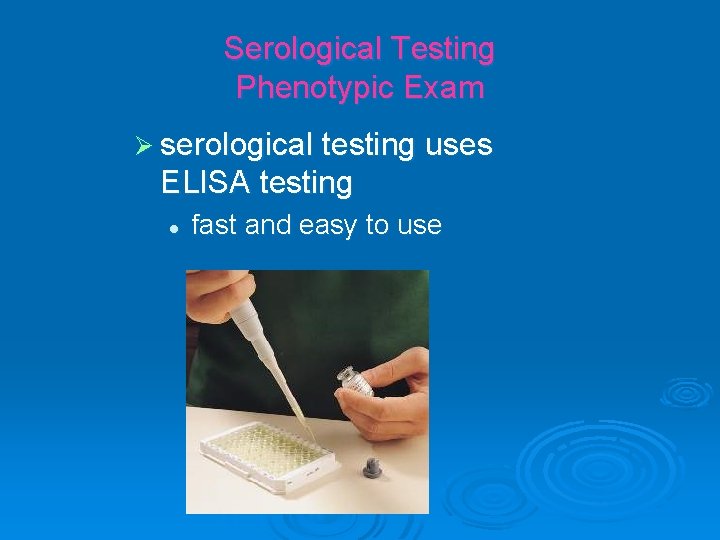Serological Testing Phenotypic Exam Ø serological testing uses ELISA testing l fast and easy