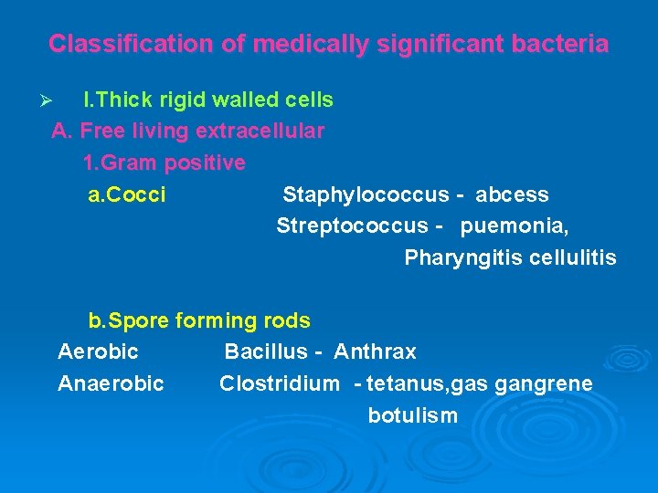 Classification of medically significant bacteria I. Thick rigid walled cells A. Free living extracellular