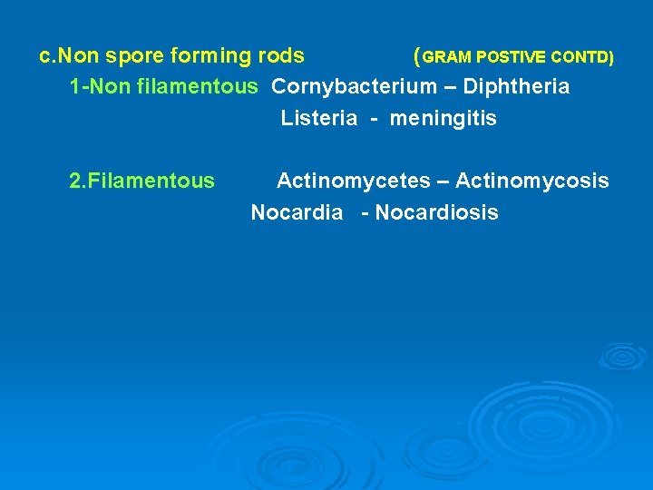 c. Non spore forming rods (GRAM POSTIVE CONTD) 1 -Non filamentous Cornybacterium – Diphtheria