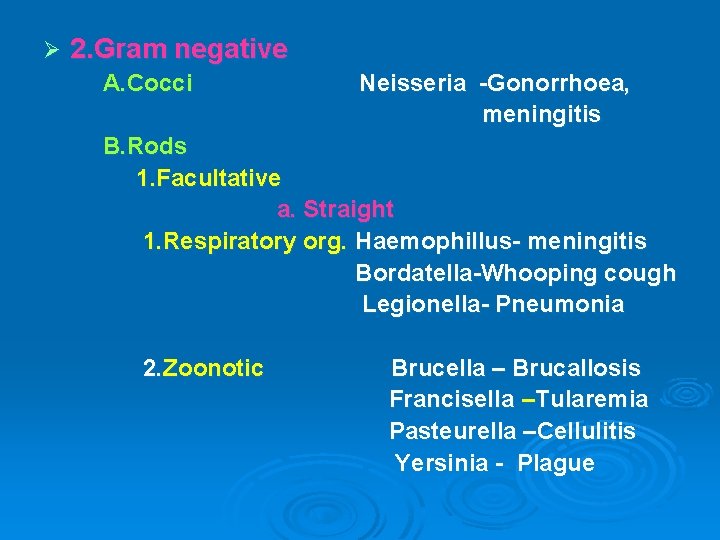 Ø 2. Gram negative A. Cocci Neisseria -Gonorrhoea, meningitis B. Rods 1. Facultative a.