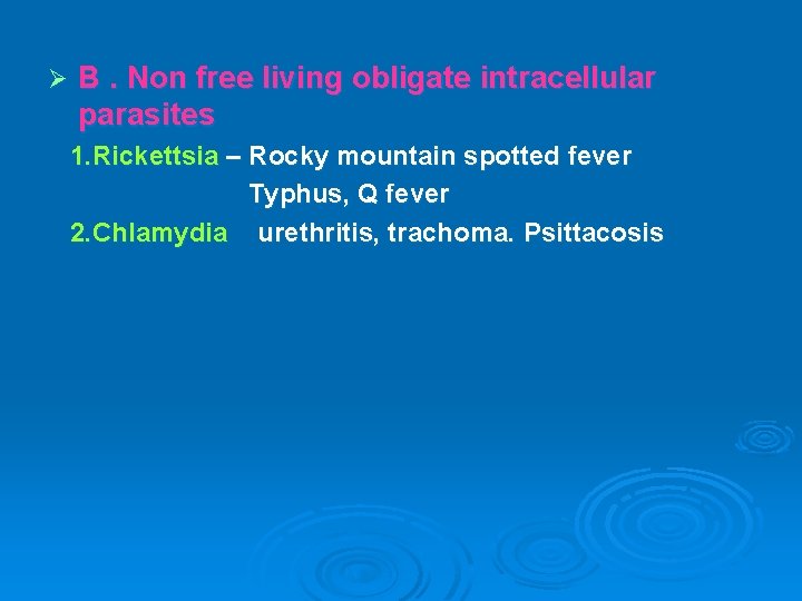 Ø B. Non free living obligate intracellular parasites 1. Rickettsia – Rocky mountain spotted