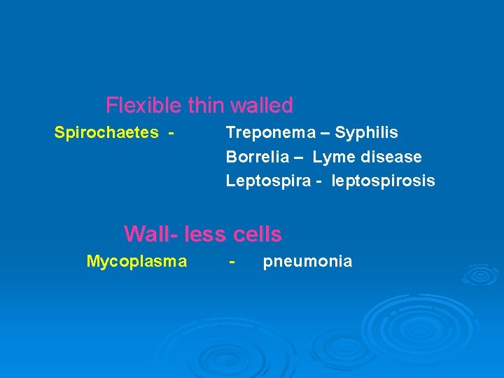 Flexible thin walled Spirochaetes - Treponema – Syphilis Borrelia – Lyme disease Leptospira -