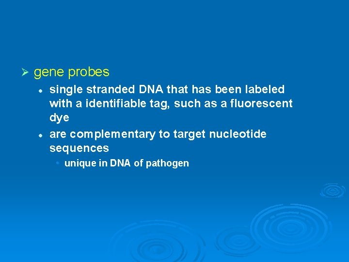 Ø gene probes l l single stranded DNA that has been labeled with a