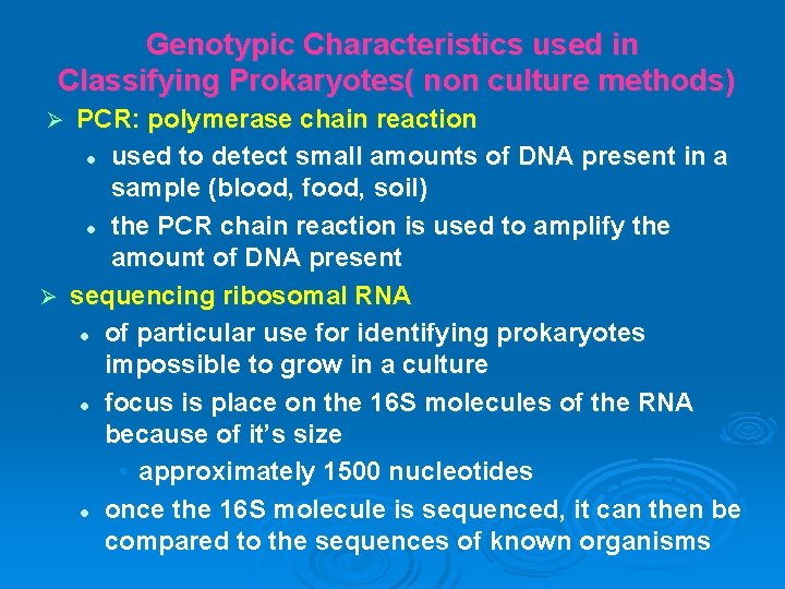 Genotypic Characteristics used in Classifying Prokaryotes( non culture methods) PCR: polymerase chain reaction l