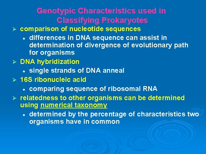 Genotypic Characteristics used in Classifying Prokaryotes Ø Ø comparison of nucleotide sequences l differences