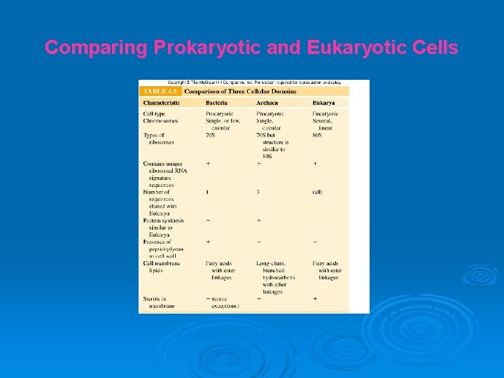 Comparing Prokaryotic and Eukaryotic Cells 