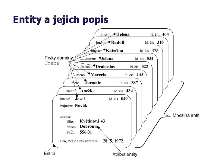 Entity a jejich popis 