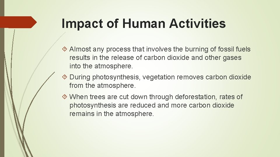 Impact of Human Activities Almost any process that involves the burning of fossil fuels