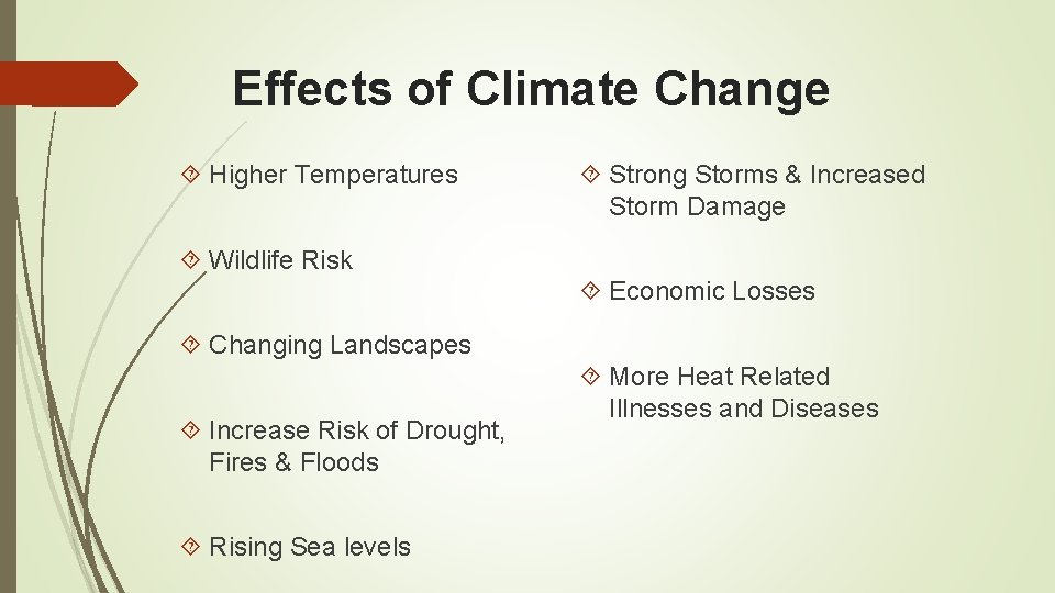 Effects of Climate Change Higher Temperatures Strong Storms & Increased Storm Damage Wildlife Risk