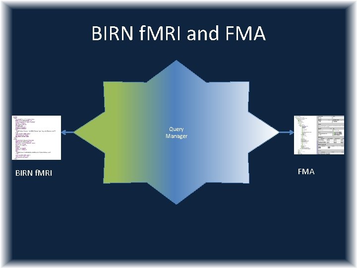 BIRN f. MRI and FMA Query Manager BIRN f. MRI FMA 
