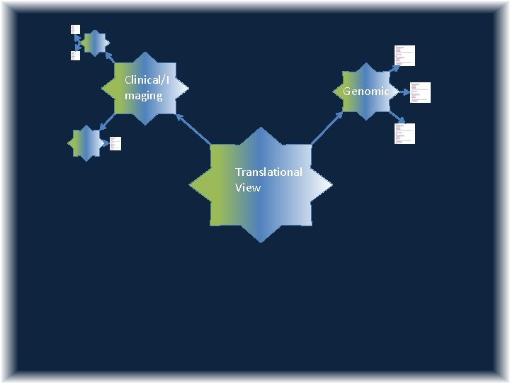 Clinical/I maging Genomic Translational View 