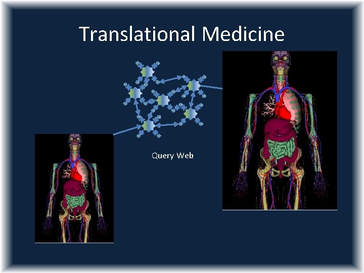 Translational Medicine Query Web 