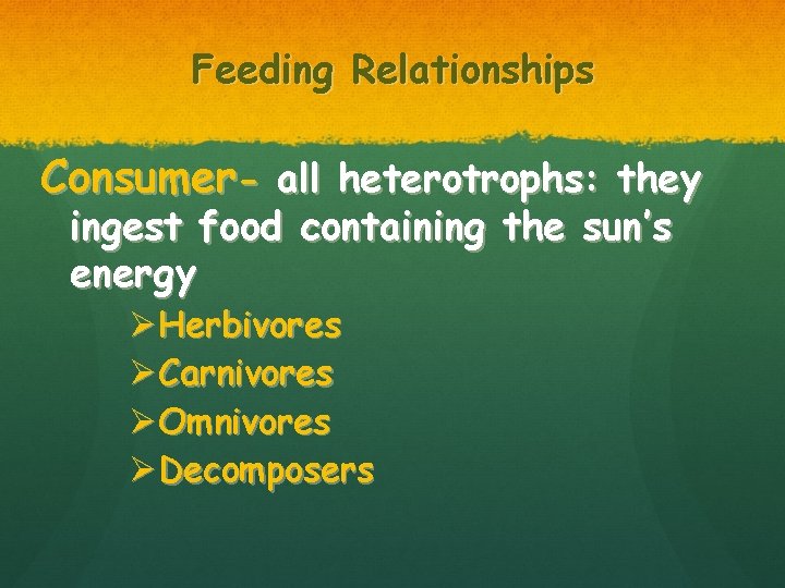 Feeding Relationships Consumer- all heterotrophs: they ingest food containing the sun’s energy ØHerbivores ØCarnivores