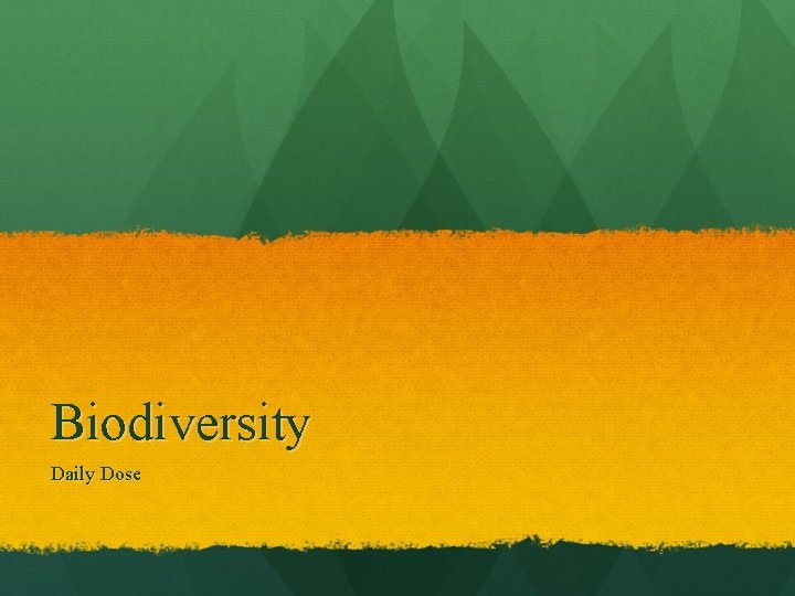 Biodiversity Daily Dose 