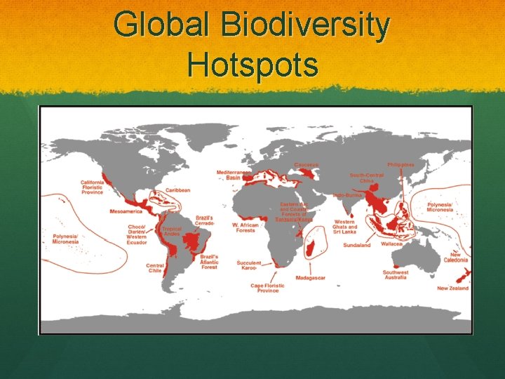 Global Biodiversity Hotspots 