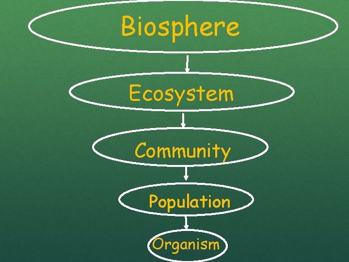 Biosphere Ecosystem Community Population Organism 