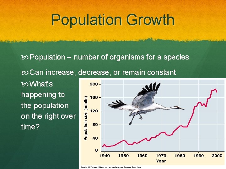 Population Growth Population – number of organisms for a species Can increase, decrease, or
