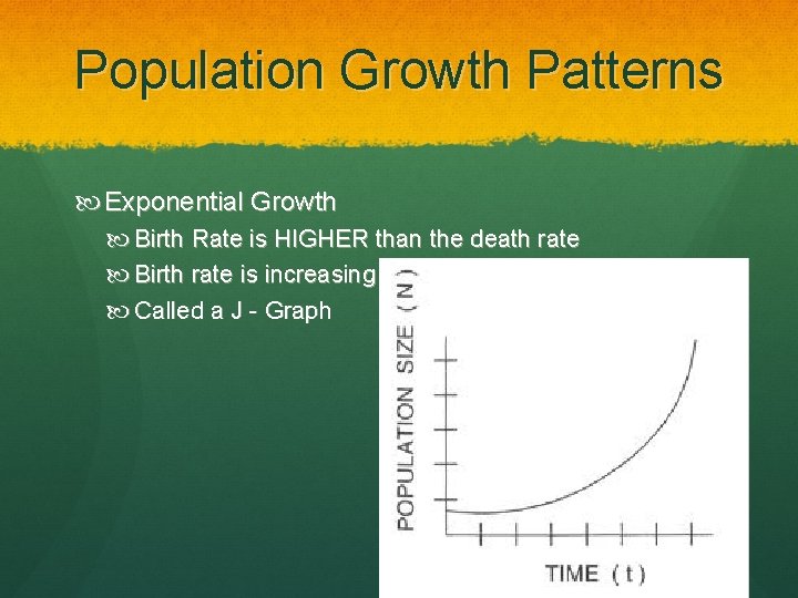 Population Growth Patterns Exponential Growth Birth Rate is HIGHER than the death rate Birth