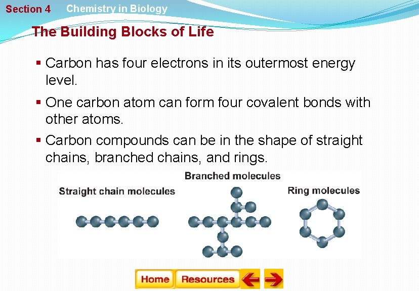 Section 4 Chemistry in Biology The Building Blocks of Life § Carbon has four