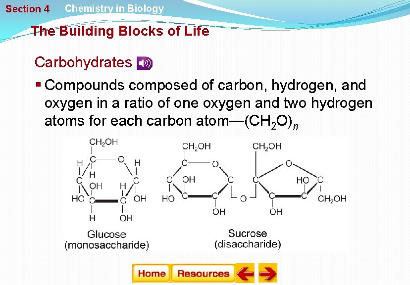Section 4 Chemistry in Biology The Building Blocks of Life Carbohydrates § Compounds composed