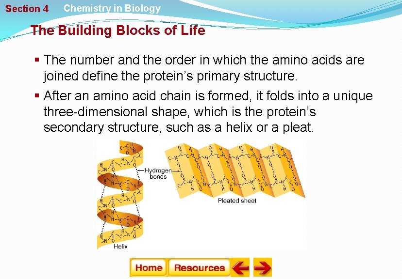 Section 4 Chemistry in Biology The Building Blocks of Life § The number and