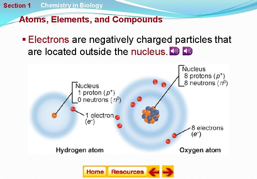 Section 1 Chemistry in Biology Atoms, Elements, and Compounds § Electrons are negatively charged