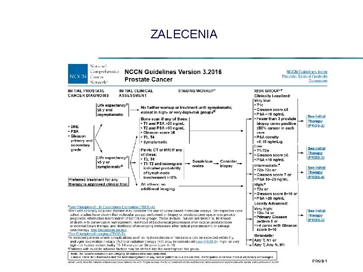 ZALECENIA 