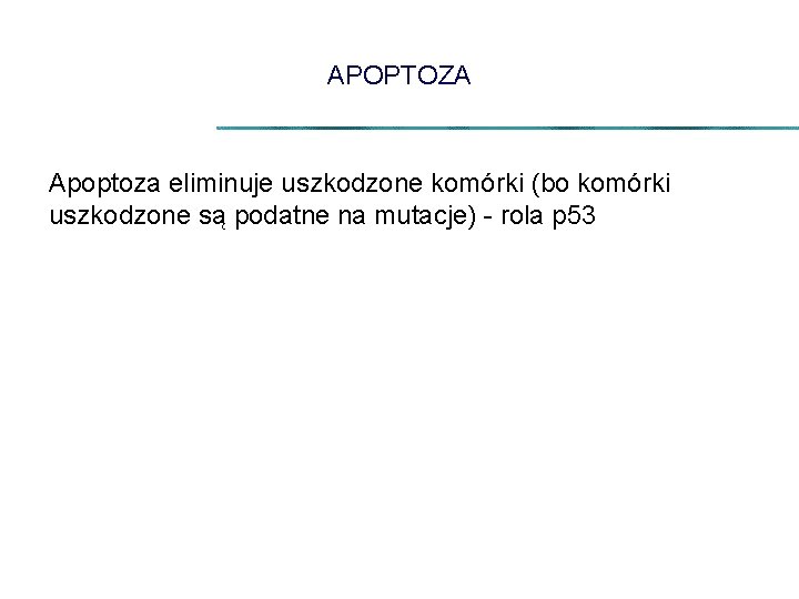 APOPTOZA Apoptoza eliminuje uszkodzone komórki (bo komórki uszkodzone są podatne na mutacje) - rola