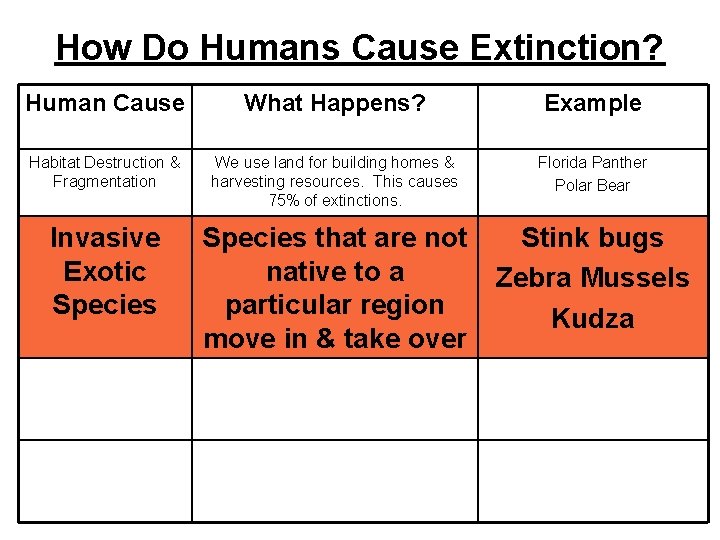 How Do Humans Cause Extinction? Human Cause What Happens? Example Habitat Destruction & Fragmentation