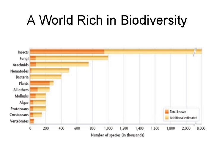 A World Rich in Biodiversity 