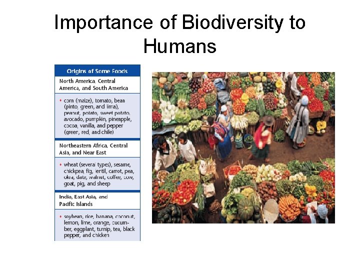 Importance of Biodiversity to Humans 
